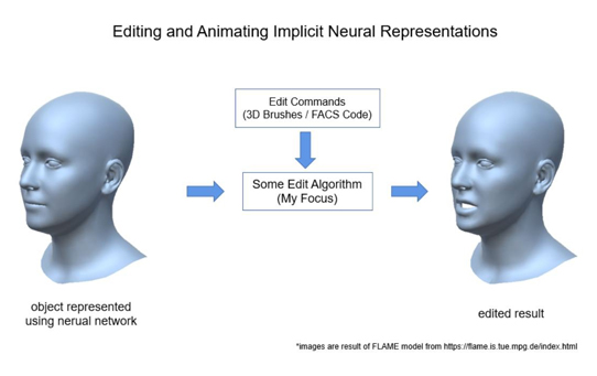 Editing And Animating Implicit Neural Representations
